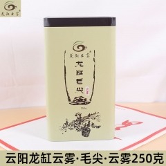 云阳龙缸毛尖（云雾）250g 铁听