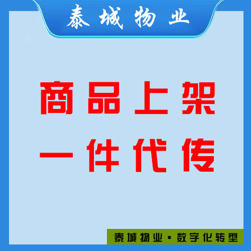 代上传产品服务 10元代上传产品1个