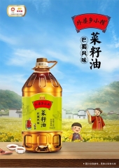 金龙鱼菜籽油外婆乡小榨食用油5L*2巴蜀风味非转基因物理压榨桶装